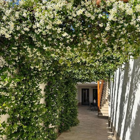 El Patio De Los Jazmines Boutique-House Consuegra Exterior photo